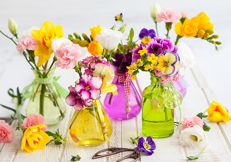 Quick and Easy Flower Preservation Tips for Every Occasion